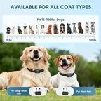 Shock Collar for Dogs, IP67 Waterproof Dog Training Collar with Remote, 3 Training Modes (Beep, Vibration, Static), Rechargeable E Collar for Large and Medium Breeds