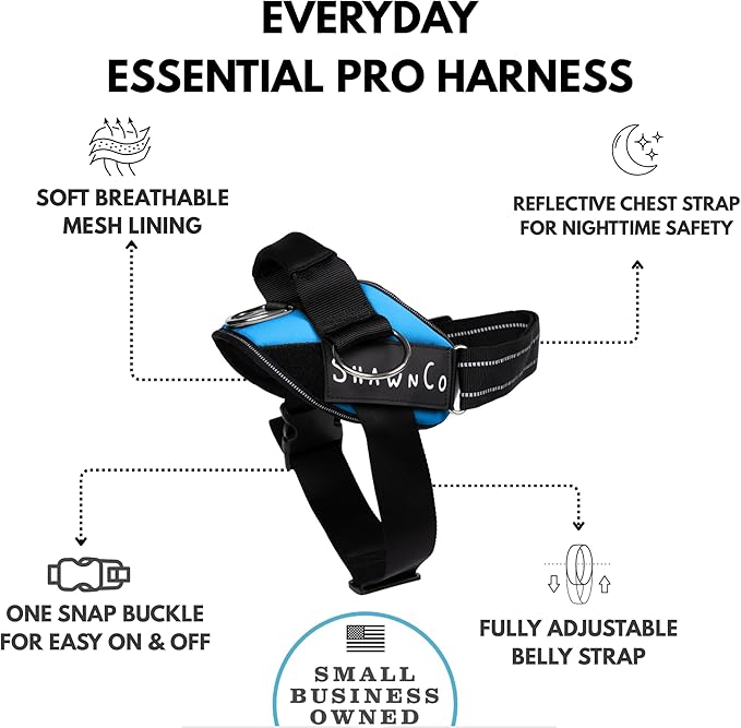 ShawnCo Essential Pro Dog Harness, No-Pull Pet Vest with 3 Leash Clips and Removable, Reflective Side Patches, Adjustable and Padded Harness for Small, Medium and Large Dogs (Oceanic Blue, L)