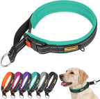 Mayerzon 1.5" Wide Martingale Collar for Large Medium Small Dogs Pitbull German Shepherd, No Pull Reflective Slip Martingale Dog Collar with Buckle Soft Padded for Walking Training(Teal,XL)