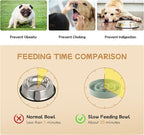 Ceramic 0.9 Cup Raised Slow Feeder Dog Bowl Set, Elevated 6.1inch Water Bowl and 6.1inch Slow Dish with Wooden Stand for Small Dogs(2 x Light Green+ Stand)