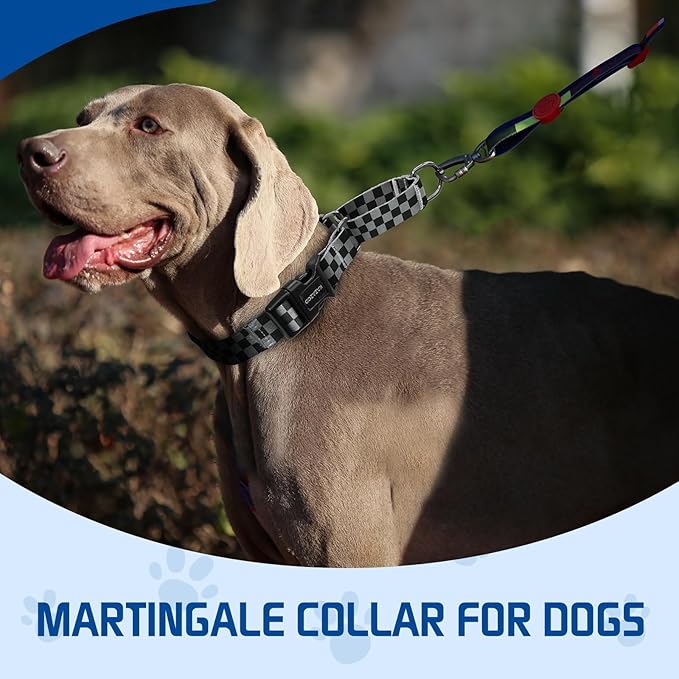 Kazazoo Martingale Collar for Dogs with Quick Release Buckle Adjustable Soft Durable Dog Collar for Small Medium Large No Pull Training Dog Collars-Black&Grey XL