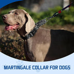 Kazazoo Martingale Collar for Dogs with Quick Release Buckle Adjustable Soft Durable Dog Collar for Small Medium Large No Pull Training Dog Collars-Black&Grey Plaid L