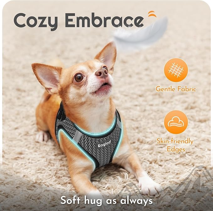 Eagloo Small Dog Harness and Leash Set, Step in Puppy Vest with Breathable Soft Mesh, Walking Reflective Pet Harness for Medium Small Dogs, Gray, M