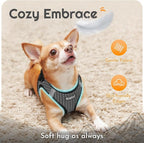 Eagloo Small Dog Harness and Leash Set, Step in Puppy Vest with Breathable Soft Mesh, Walking Reflective Pet Harness for Medium Small Dogs, Gray, M