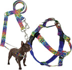 2 Hounds Design - Freedom No-Pull Harness & Training Leash in Blue and Rainbow | Dual Leash Loops, No Pulling on Walks | Lined to Prevent Chaffing | for Small Sized Dogs (Size S, Chest 20”- 24”)