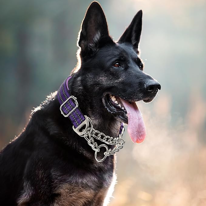 Reflective Martingale Dog Collar，Trainer Approved Limited Slip Collar with Chain Heavy Duty D-Ring Adjustable for Gentle & Effective Medium Large XL XXL Dogs （Purple L）
