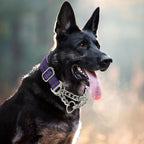 Reflective Martingale Dog Collar，Trainer Approved Limited Slip Collar with Chain Heavy Duty D-Ring Adjustable for Gentle & Effective Medium Large XL XXL Dogs （Purple L）