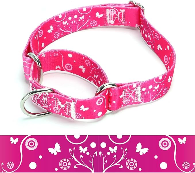 Martingale Dog Collars - Flower Multicolor Cute Patterns, Adjustable Nylon Training Dog Collar Suitable for Boy and Girl Dogs Medium Large Dogs (2, M)