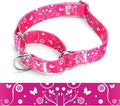 Martingale Dog Collars - Flower Multicolor Cute Patterns, Adjustable Nylon Training Dog Collar Suitable for Boy and Girl Dogs Medium Large Dogs (2, M)