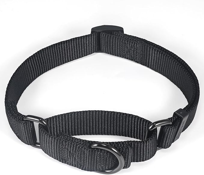 Premium Nylon Adjustable Anti-Escape Martingale Dog Collars,Heavy Duty Metal Harware D-Ring for Large Active Dogs Walking,Training,etc...(Black, Large)