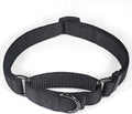 Premium Nylon Adjustable Anti Escape Martingale Dog Collars,Soft and Silky Dog Collar for Small Active Dogs Helper. (Black, Small)