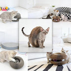 2PCS Cat Toys Magic Organ Cat Scratcher,Foldable Reversible Accordion Kitty Toy with Ball Bell for Indoor Cat Toy Exercise Anxiety Relief
