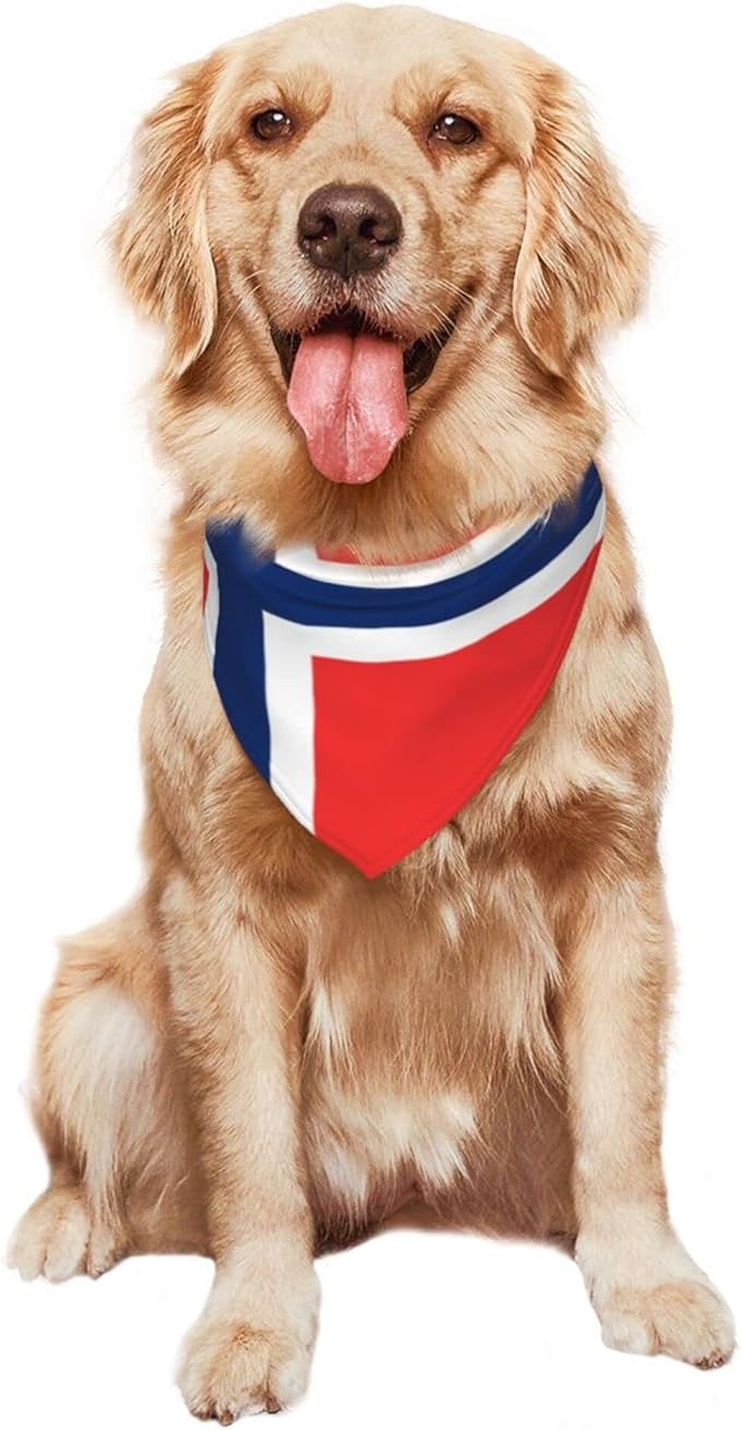 Dog Bandanas Flag of Norway Pet Bandana Scarf Triangle Bibs Kerchief Accessories for Dogs Cats