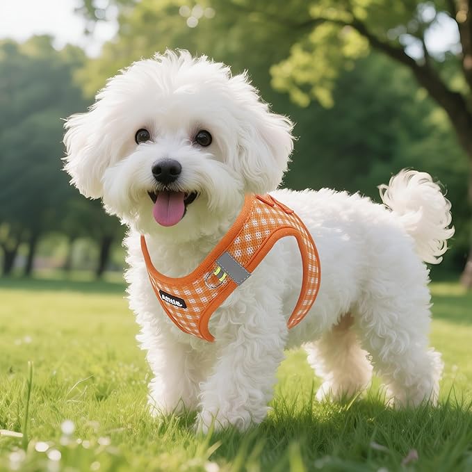 AIITLE Dog Harness and Leash Set, Reflective Adjustable Soft Mesh Vest with Plaid Print for Small Dogs – Breathable No-Pull Design for Daily Walks & Outdoor Adventures (XXS, Orange)