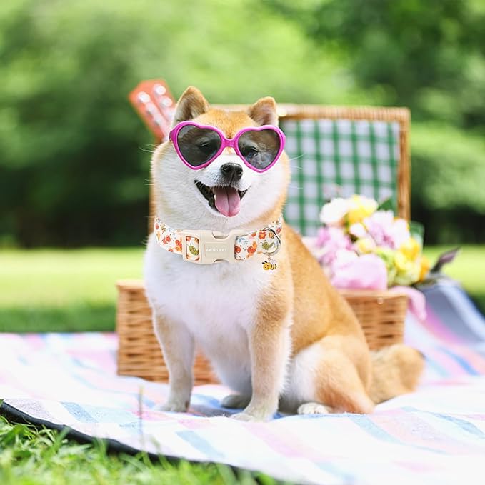 ARING PET Dog Collar, Cute Spring Summer Insects Bee Floral Doggy Collars with Quick Release Buckle for Puppy Small Medium Large Dogs-XL
