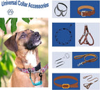 2 Pcs Dog Collar Safety Clips with Double Ended Clasps | Adjustable Collar Backup Clip for Dog Harness & Collars Connectors, Training for Walking, Running, and Hiking, Safety Clip - Blue