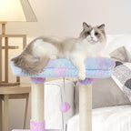 FISH&NAP Cute Cat Tree Kitten Cat Tower for Indoor Cat Condo Sisal Scratching Posts with Jump Platform Cat Furniture Activity Center Play House Rainbow