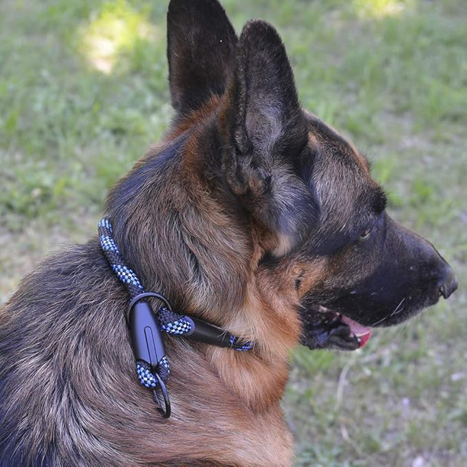 BronzeDog Rope Pro Training Dog Collar Braided No Pull Quick Release Round Lead Collars for Dogs Small Medium Large Puppy (L - 21.7" Long, Blue)