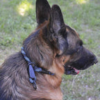 BronzeDog Rope Pro Training Dog Collar Braided No Pull Quick Release Round Lead Collars for Dogs Small Medium Large Puppy (M - 19.7" Long, Blue)