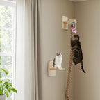 Weysat Cat Tree with 2 x 59.1 Inch Climbing Rope Wall Mounted Cat Climbing Tower Toy with Scratching Post Kitten Rope Ladder with Jumping Platform Wall Steps for Playing and Rest (Wood,with Toys)