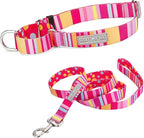 Lucky Love Dog Martingale Dog Collar & Leash - Adjustable, No-Slip, Durable, Comfortable, Soft Webbing, & Stylish Patterned Collar & Leash Set for Male and Female Dogs - Molly Combo, Small