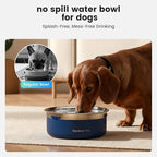 Gardner Pet Slow Water Bowl for Dogs, 2L/68oz Spill-Proof Pet Water Bowl with Floating Disk & Filter Screen, Stainless Steel No-Spill Water Dispenser for Medium Large Pets