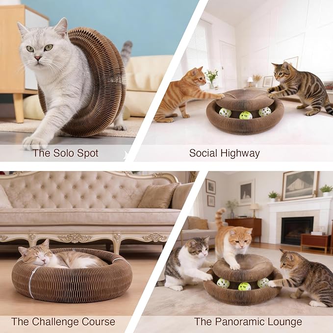 Kitty Kurlz Cat Toy, Reversible Infinity Style Magic Organ Cat Toy Made from Recycled Corrugated Cardboard Long Lasting (C-Shaped（2pcs）).