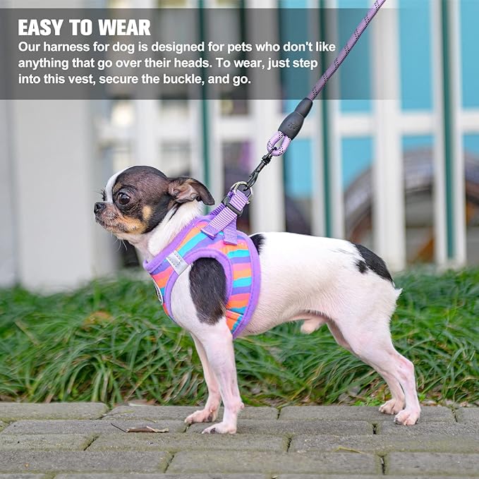 BEAUTYZOO Dog Harness and Leash Set for Small Dogs,No Pull Step-in Harness for Puppy XS S Sized Dogs and Cats,Air Mesh Adjustable Breathable Soft No Choke Escape Proof Vest Harness,Striped Purple XXS