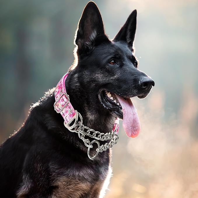 Reflective Martingale Dog Collar with Soft Padded,Adjustable Heavy Duty Choke Steel Chain Big Dog Training, Walking, Hunting Collar for All Breeds (Pink Flowers XXL)