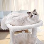 37.4" Cat Tree Tower with Twin Cat Condos for Indoor Cats, All-in-One Activity Center with Cat Scratching Post Cozy Sleeping Perch Hammock and Toy Balls,Beige