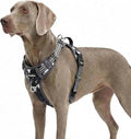 Funfox Dog Harness No Pull, Adjustable Pet Vest Harness, Super Soft Material with Vertical Handle Easy Control, Reflective Night Walking, 2 Leash Clips for XLarge Dogs, Misty Gray, XL