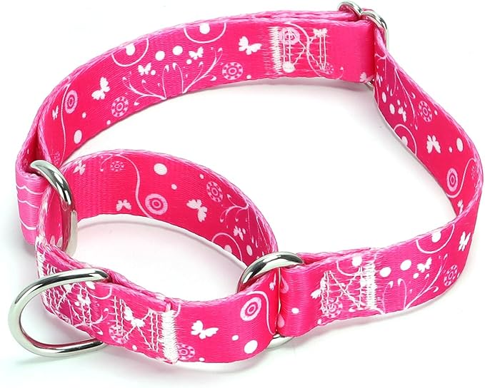 Serijoars Adjustable Martingale Dog Collar Heavy Duty Nylon Dog Collar for Medium Large Dogs Walking Training Boy and Girl Dogs (NO2, M)