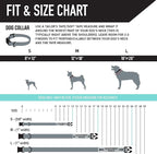 Wolfgang Heavy Duty, Adjustable Dog Collar with Quick Release Nylon Buckle for Walking & Training, MountainVibes Print, Large