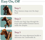 SPORN! Nylon Non Pulling Dog Harness, Small, Red
