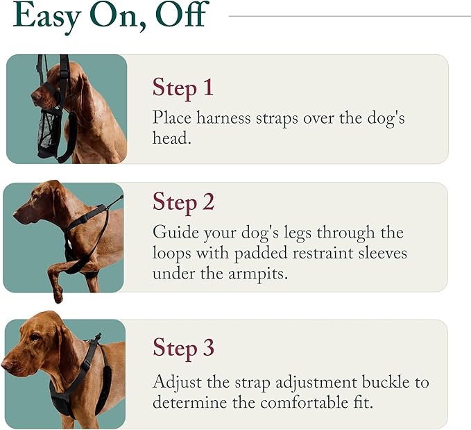 SPORN! Nylon Non Pulling Dog Harness, Small, Red