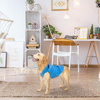 EXPAWLORER Dog Hoodie Fleece Sweater Vest, Hooded Dog Sweatshirt Fall Winter Pet Clothes with Leash Ring, Sleeveless Warm Cozy Puppy Clothing for Cat Small Medium Large Dogs Girl Boy, Blue S