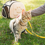 Metal Diamond Dog Chain Dog Training Chain with Secure Buckle Pet Collars for Large Medium Dogs