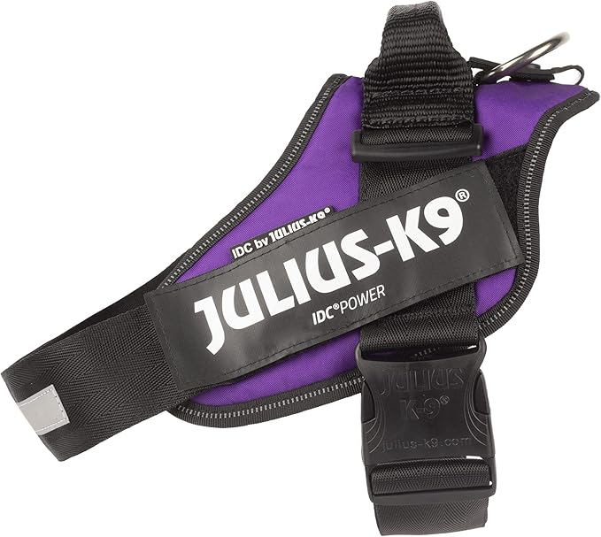 Julius-K9 IDC Powerharness, Size: L/1, Dark Purple