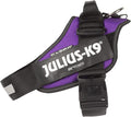 Julius-K9 IDC Powerharness, Size: L/1, Dark Purple