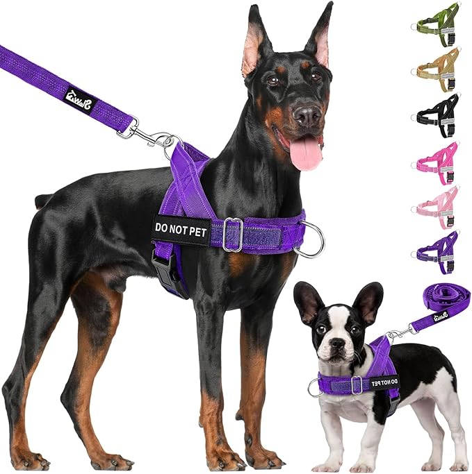 Lukovee No Pull Dog Harness & Leash Set - Heavy Duty Dog Vest Harness with Soft Padded for Medium Large Dogs, Adjustable Reflective Tactical Pet Harness for Easy Walk and Training (M, PU)