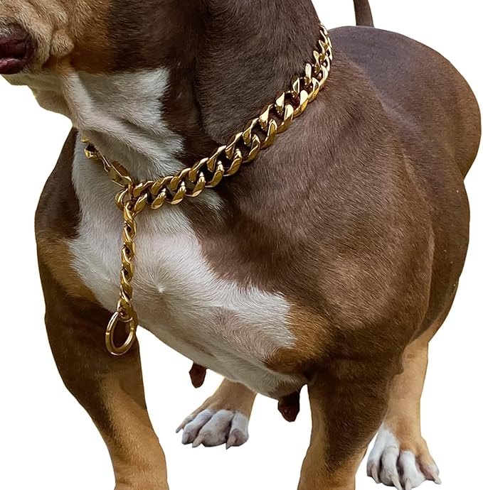 Adjustable Stainless Steel 19MM Gold Plated Dog Titan Collar Necklace Training Walking Metal Dog Duty Chew Proof for Small Medium Large Dogs American Pitbull German Shepherd (19MM*26inch, Gold)