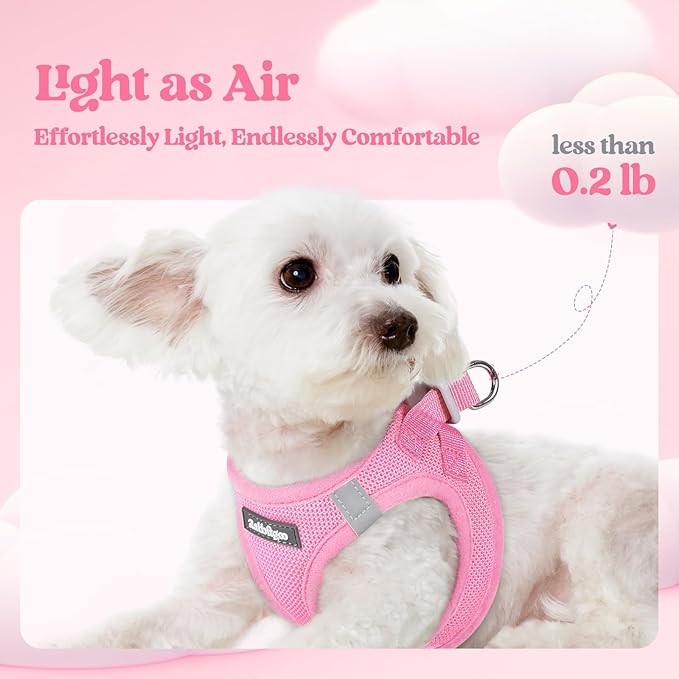 rabbitgoo Dog Harness Small Sized and Leash Set, Step in Soft Light Puppy Vest, Breathable Mesh Pet Harness, Reflective for Safe Easy Walking, Light Pink S
