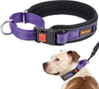 Mayerzon Martingale Collar for Medium Large Dogs, No Pull Dog Collar with Buckle, Soft Padded Reflective Martingale Dog Collar for Training Walking Outdoor(Purple, XXL)