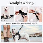 rabbitgoo Dog Harness Small Sized and Leash Set, Step in Soft Light Puppy Vest, Breathable Mesh Pet Harness, Reflective for Outdoor Safe Walking, Black XXXS