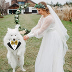 Dog Tuxedo Costume Wedding Bandana Nylon Collar with Gold Bow Tie Adjustable Formal Black Dog Tux Clothes for Small Medium Large VCat Pet Birthday Costumes Christmas Dress Outfits