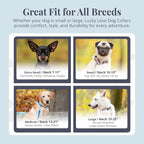 Lucky Love Dog Martingale Dog Collar - Adjustable, No-Slip, Durable, & Soft Webbing Collar for Male and Female Dogs Ideal for Training & Walking - Ladybird, Large
