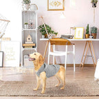 EXPAWLORER Dog Hoodie Fleece Sweater Vest, Hooded Dog Sweatshirt Fall Winter Pet Clothes with Leash Hole, Sleeveless Warm Cozy Puppy Clothing for Cat Small Medium Large Dogs Girl Boy, Grey XL