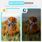Weesiber No-Pull Dog Head Collar, Adjustable Dog Muzzle Padded Head Halter Training Nose Leash, Easy Control for Walking (Blue,M)
