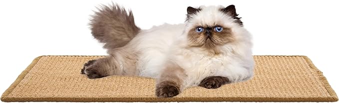 SAFAVIEH Cat Scratch Mat Pad Collection, 9" x 14", Light Brown, Sisal Boucle Weave, Velcro & Slip Resistant Backing