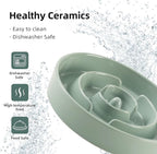 Ceramic 3.2 Cup Slow Feeder Dog Bowl for Large Dog, 9.5inch Puzzle Food Dish, Anti-Gulping, Stop Bloat, Preventing Choking (Single Bowl-Light Green)